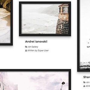 Art Gallery - TZ Portfolio+ Gallery